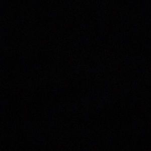 Meet your Posher, Luis